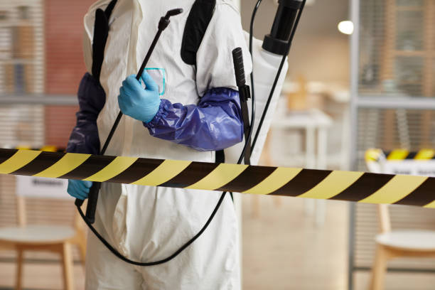 Professional Hoarding Cleanup technician working in Bergenfield, NJ